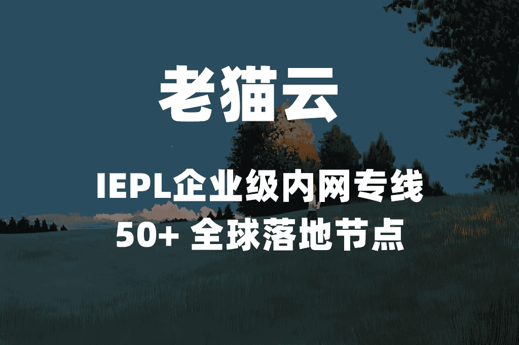 好用！今年机场推荐/高速稳定机场节点订阅/免费机场白嫖/长期更新中！  第3张