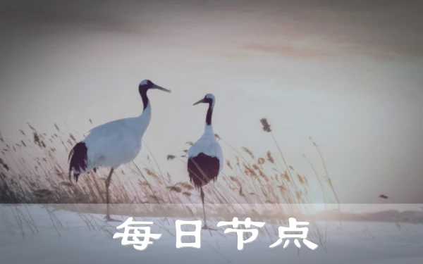 2024年9月30日：好用英国（普雷斯顿图书馆）P站-V2ray机场推荐和日本（福井恐龙博物馆）-法国（卢瓦尔地区）P站-V2ray节点